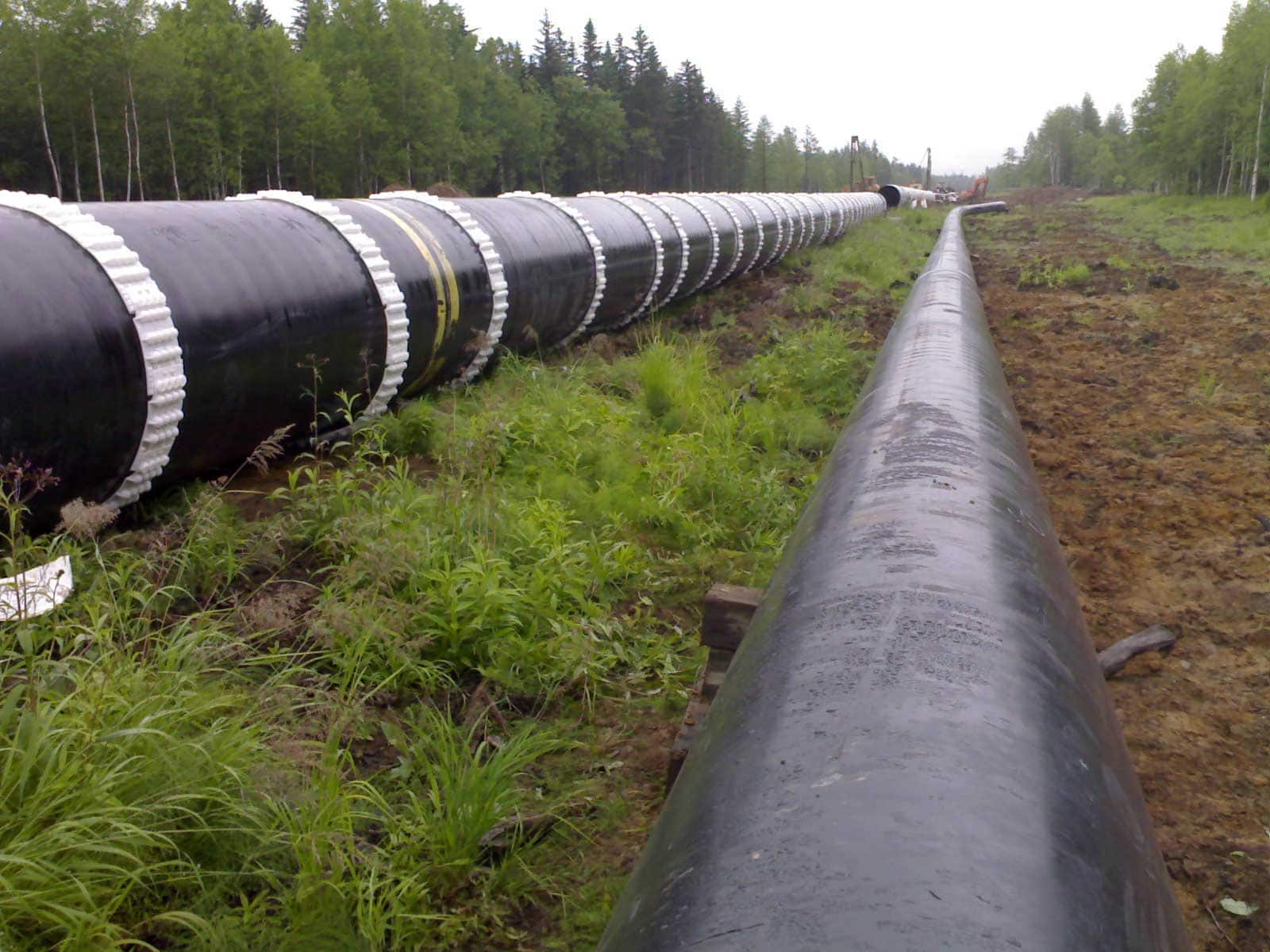Alberta Pipeline Companies